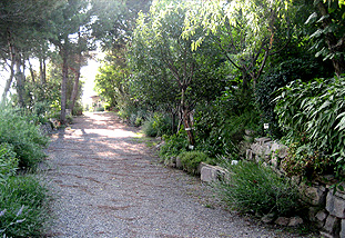 Jardí Botànic de Can Riera