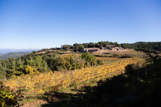 Celler Sant Miquel d’Oló