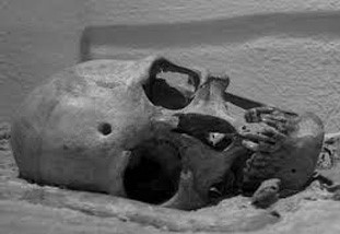 Museu Arqueològic i Paleontològic